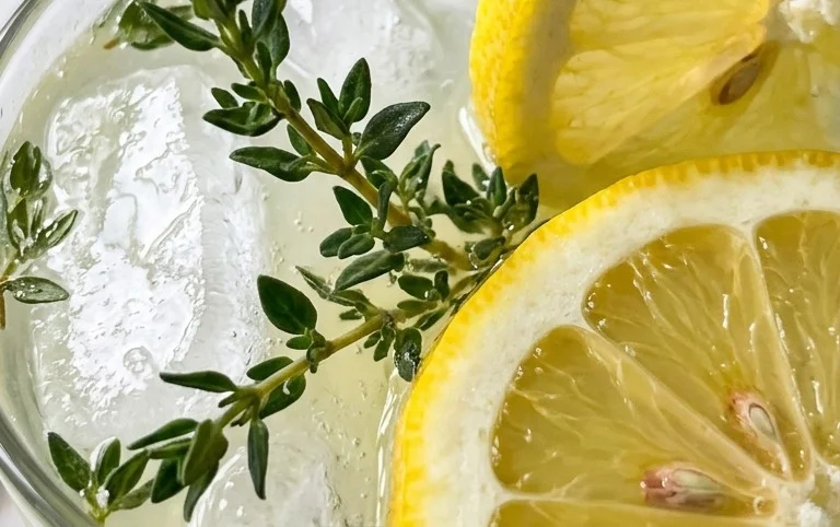 Zitronen-Thymian-Limonade